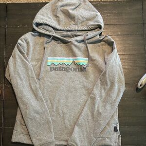 Patagonia Gray Hoodie with Teal, Yellow & Black Logo